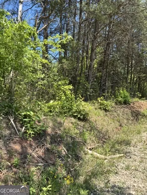 7 66 Acs Keener Rd, Toccoa, GA 30577 photo 9
