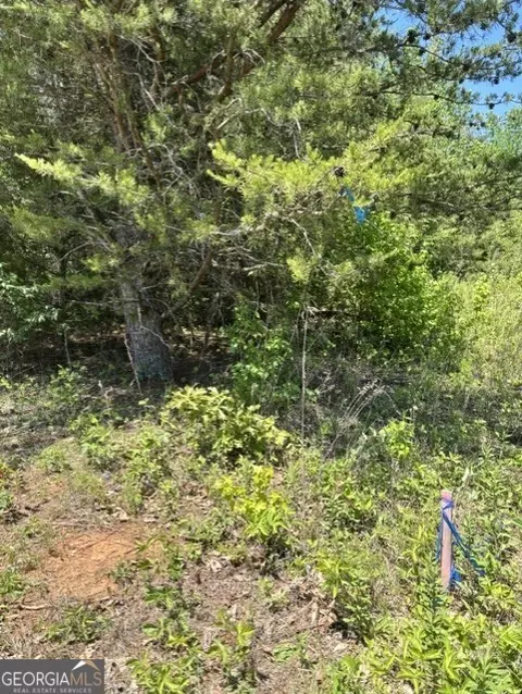 7 66 Acs Keener Rd, Toccoa, GA 30577 photo 6