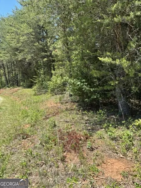 7 66 Acs Keener Rd, Toccoa, GA 30577 photo 7