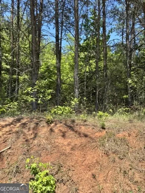 7 66 Acs Keener Rd, Toccoa, GA 30577 photo 2