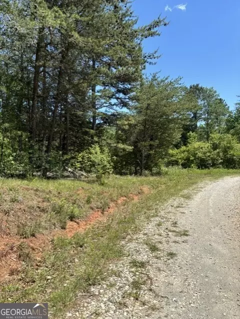 7 66 Acs Keener Rd, Toccoa, GA 30577 photo 3
