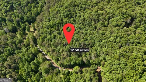 0 Gold Springs Rd, Cherry Log, GA 30522