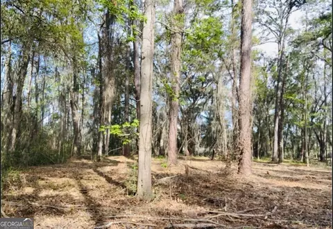0 W Black Island Rd SE, Darien, GA 31305