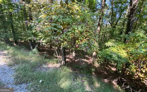 266 Myna Dr, Ellijay, GA 30540