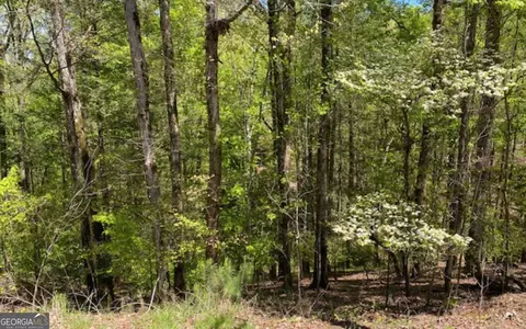 254 Myna Dr, Ellijay, GA 30540