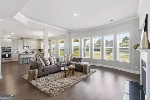 Living - 324 Conley Ave, Hampton, GA 30228 photo 1 of 4