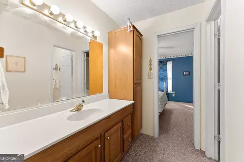 Bath - 350 Old River Rd, Cornelia, GA 30531 photo 4 of 6