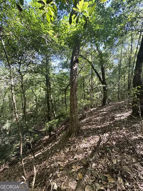 2415 E Us Hwy 82, Shellman, GA 39886 photo 20