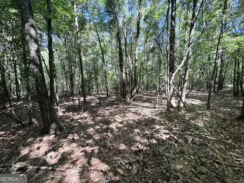 2415 E Us Hwy 82, Shellman, GA 39886 photo 9