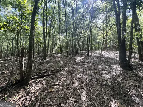 2415 E Us Hwy 82, Shellman, GA 39886 photo 23