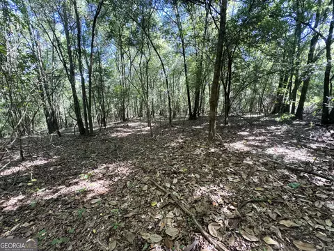 2415 E Us Hwy 82, Shellman, GA 39886 photo 11