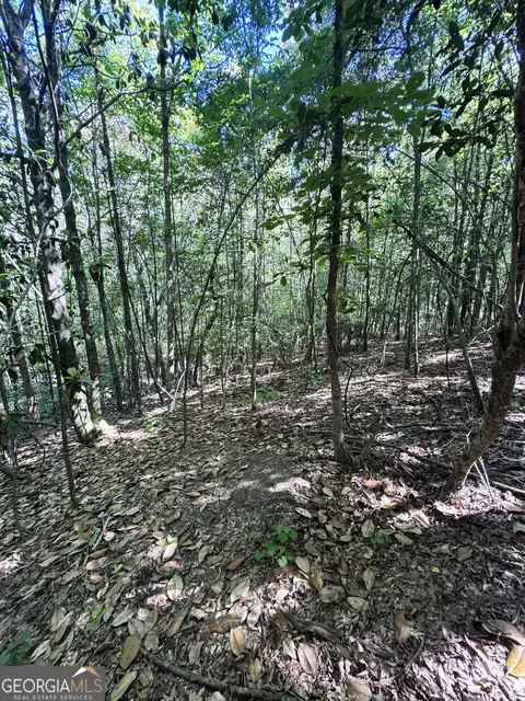 2415 E Us Hwy 82, Shellman, GA 39886 photo 19