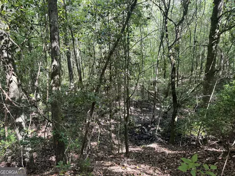 2415 E Us Hwy 82, Shellman, GA 39886 photo 21