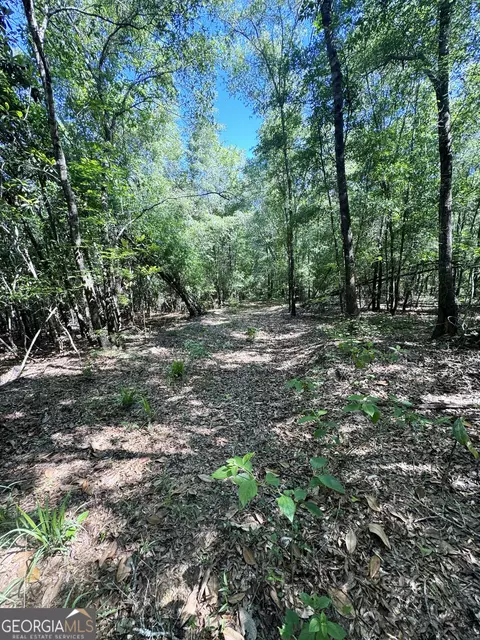 2415 E Us Hwy 82, Shellman, GA 39886 photo 16