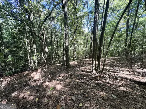 2415 E Us Hwy 82, Shellman, GA 39886 photo 24
