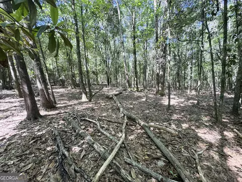 2415 E Us Hwy 82, Shellman, GA 39886 photo 10