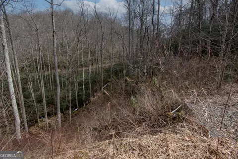 Undisclosed, Robbinville, NC 28771