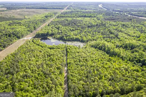 21701 Highway 441, Mcintyre, GA 31054