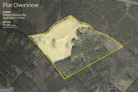 0 Pitts Chapel Rd, Monticello, GA 31064