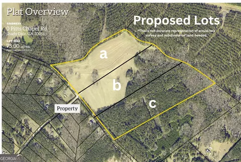 0 Lot A Pitts Chapel Rd, Monticello, GA 31064