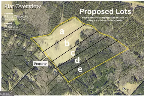 lot D 0 Pitts Chapel Rd, Monticello, GA 31064