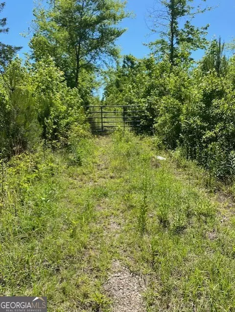 1730 N Walkers Mill Rd, Griffin, GA 30223