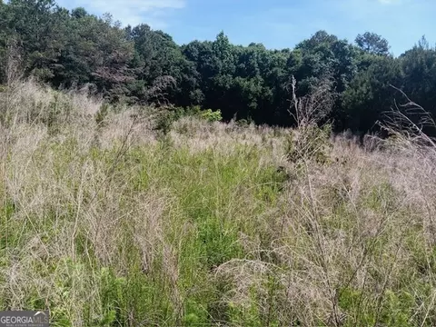 0 Pulliam Mill Rd, Dewy Rose, GA 30634 photo 11