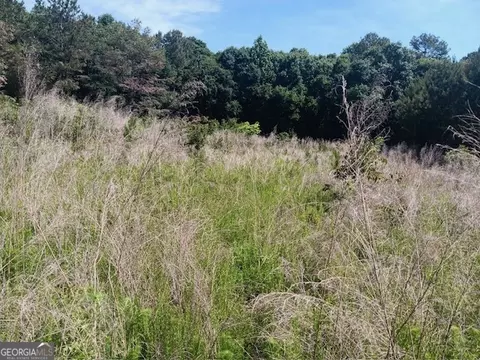 0 Pulliam Mill Rd, Dewy Rose, GA 30634 photo 12