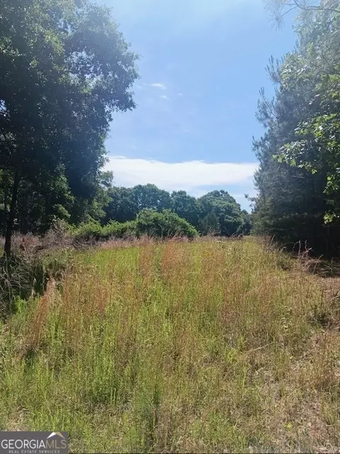 0 Pulliam Mill Rd, Dewy Rose, GA 30634 photo 8