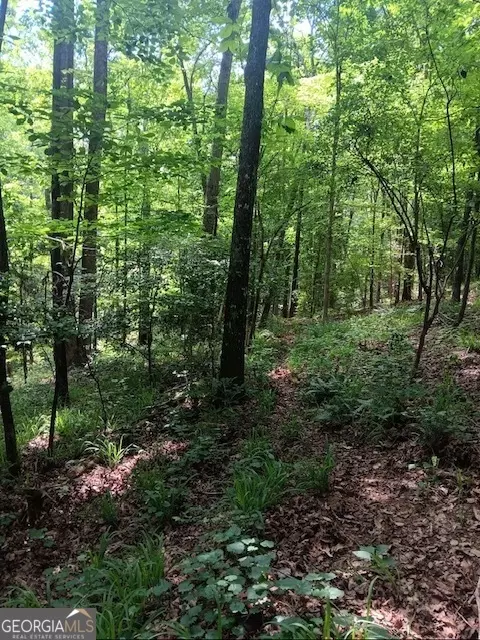 0 Pulliam Mill Rd, Dewy Rose, GA 30634 photo 10
