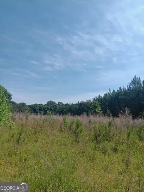 0 Pulliam Mill Rd, Dewy Rose, GA 30634 photo 6