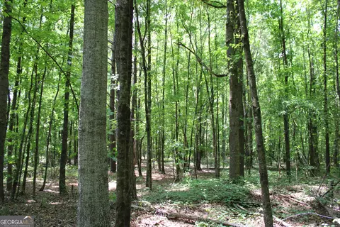 2 Neese Commerce Rd, Commerce, GA 30529 photo 13