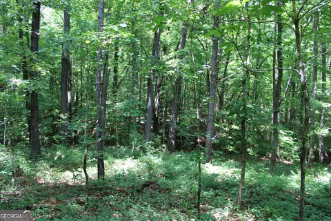 2 Neese Commerce Rd, Commerce, GA 30529 photo 8
