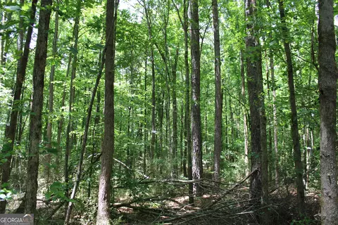 2 Neese Commerce Rd, Commerce, GA 30529 photo 7