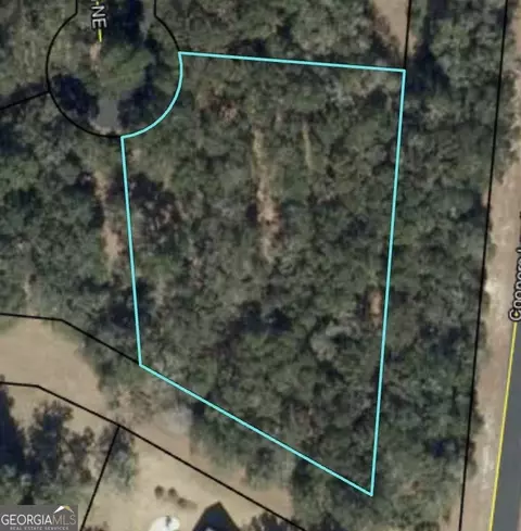 0 Blakberry Ln NE, Townsend, GA 31331