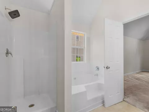 Bath - 992 Brisley Cir, Hampton, GA 30228 photo 2 of 4