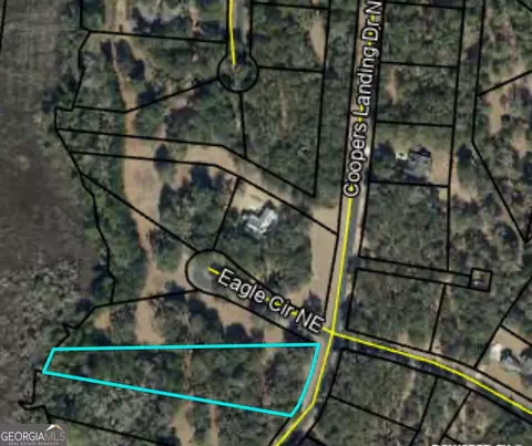 lot241 Coopers Landing Dr NE, Townsend, GA 31331 photo 3
