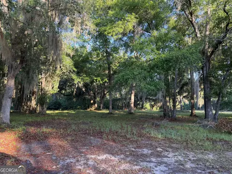 lot241 Coopers Landing Dr NE, Townsend, GA 31331 photo 4