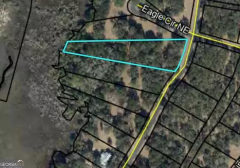 lot241 Coopers Landing Dr NE, Townsend, GA 31331 photo 2