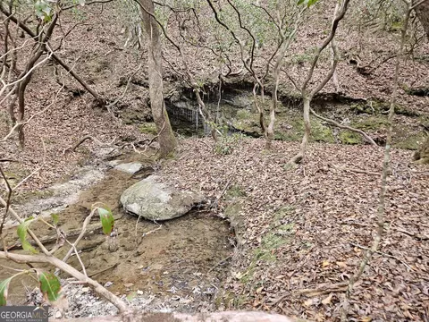 0 Talc Mine Rd, Jasper, GA 30143 photo 18