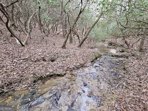 0 Talc Mine Rd, Jasper, GA 30143 photo 20