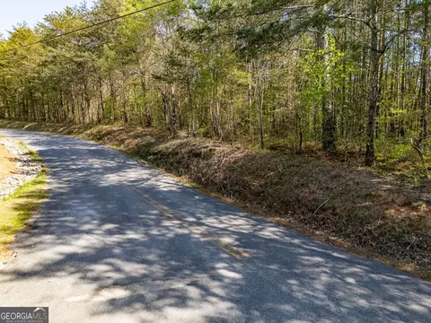 0 Talc Mine Rd, Jasper, GA 30143 photo 6
