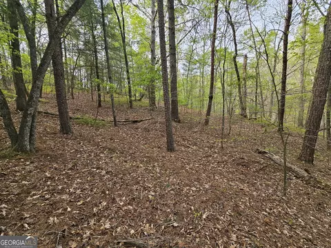 0 Talc Mine Rd, Jasper, GA 30143 photo 28