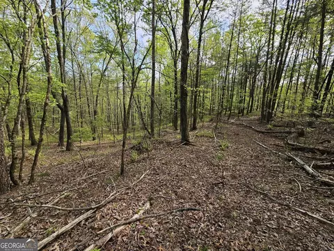 0 Talc Mine Rd, Jasper, GA 30143 photo 21