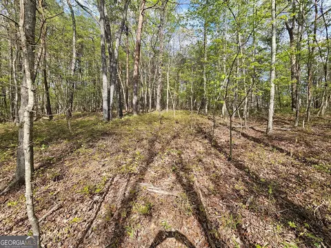 0 Talc Mine Rd, Jasper, GA 30143 photo 30