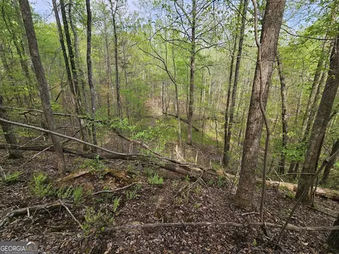 0 Talc Mine Rd, Jasper, GA 30143 photo 27