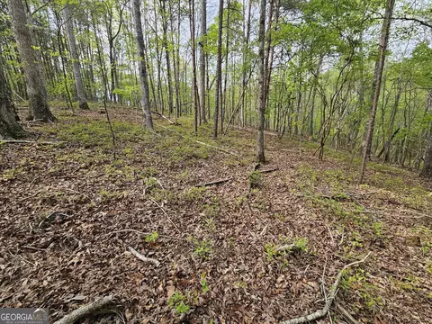 0 Talc Mine Rd, Jasper, GA 30143 photo 29
