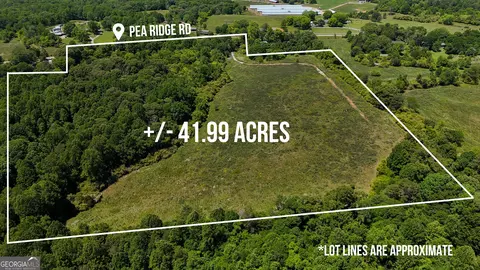 3600 Pea Ridge Rd, Cornelia, GA 30531