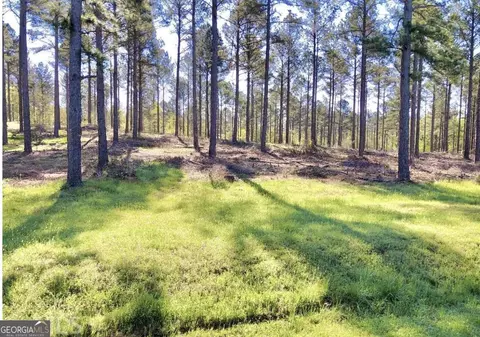 0 Speed Ln, Madison, GA 30650 photo 2