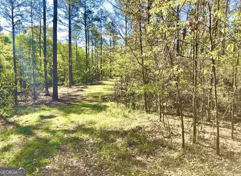 0 Speed Ln, Madison, GA 30650 photo 3